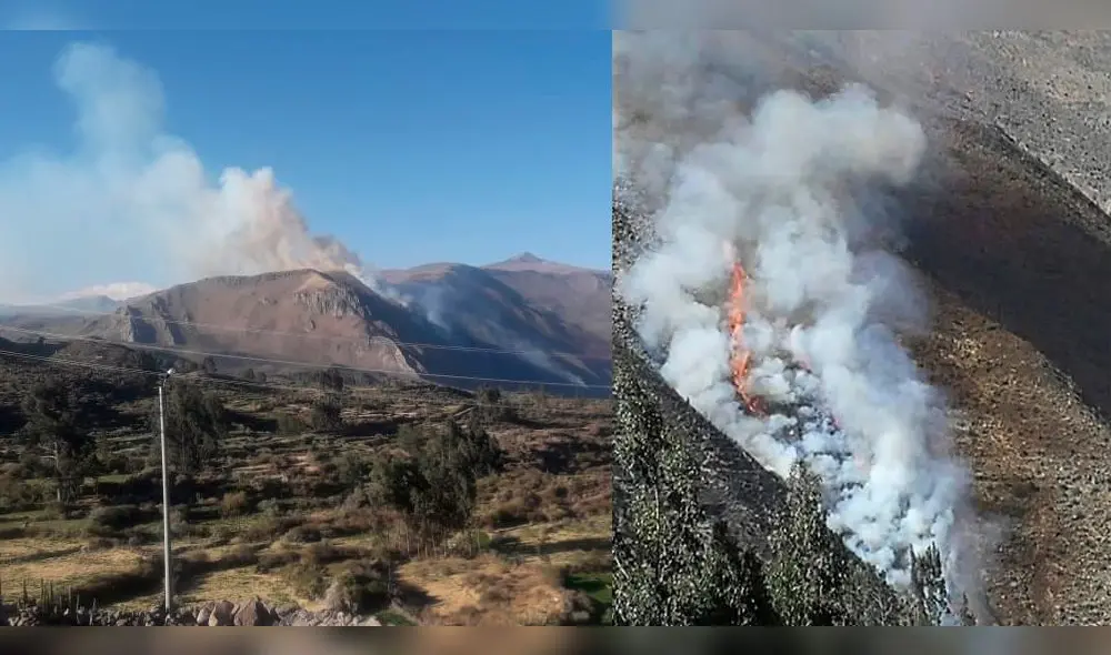 Arequipa: 100 personas intentan sofocar incendio forestal en Castilla Arequipa: 100 personas intentan sofocar incendio forestal en Castilla