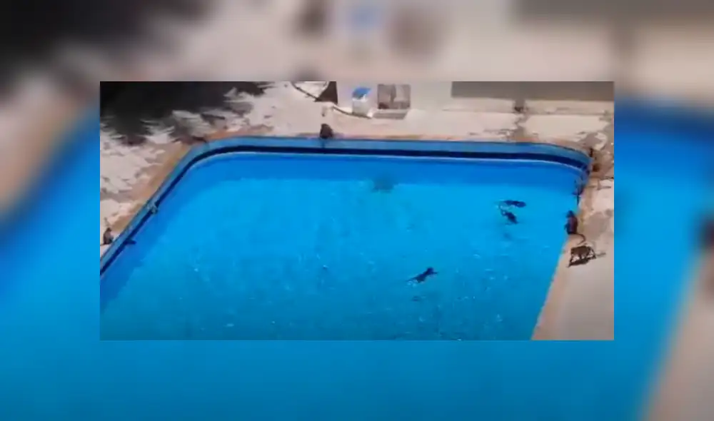 Desliza hacia la izquierda para ver más del video viral