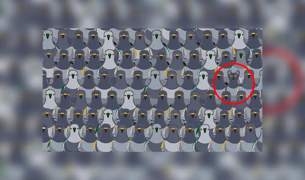 ¿Podrás hallar el gato en tan solo 18 segundos? Foto: captura ¿Podrás hallar el gato en tan solo 18 segundos? Foto: captura