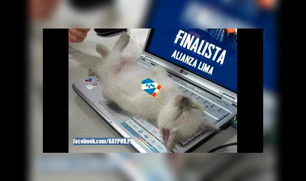 Alianza Lima vs. Sporting Cristal: los hilarantes memes no se hicieron esperar [FOTOS]