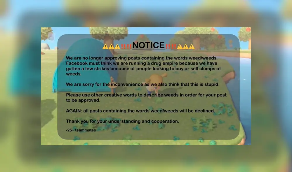 Pero parece que Facebook cree que se refieren a la marihuana y ya amenazó con cerrar un grupo cuyos usuarios utilizan la palabra para comerciar.