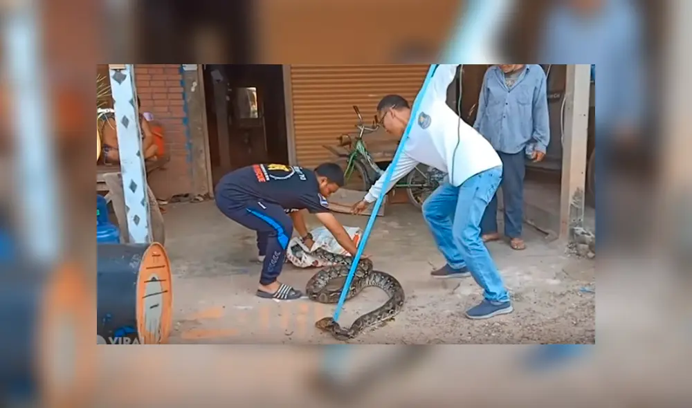 Desliza hacia la izquierda para ver el espeluznante hallazgo en Tailandia. Imágenes virales de YouTube. Desliza hacia la izquierda para ver el espeluznante hallazgo en Tailandia. Imágenes virales de YouTube.