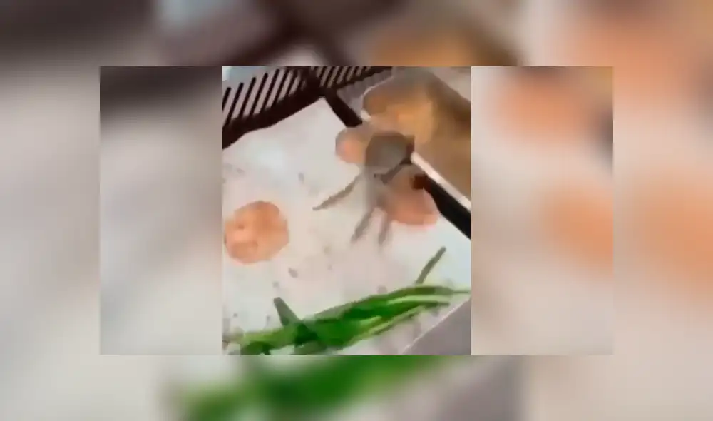Facebook viral: cangrejo intenta escapar de cocinero y sin querer cae a la olla hirviendo Facebook viral: cangrejo intenta escapar de cocinero y sin querer cae a la olla hirviendo