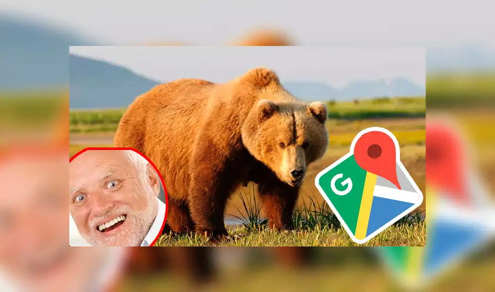 Google Maps: Buscaba la casa de su abuelo cuando captó una curiosa escena de un oso [FOTOS] 
