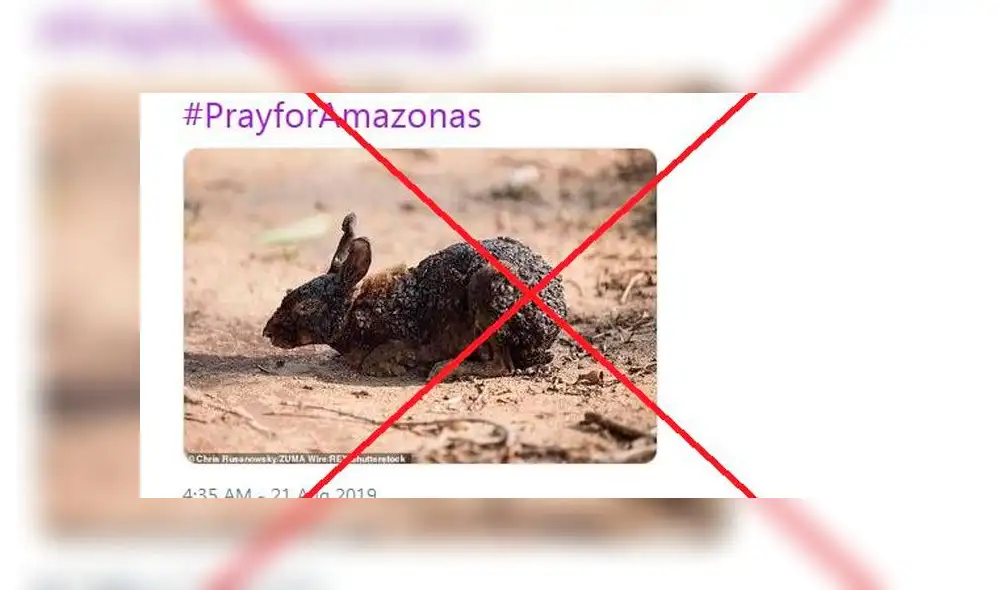 Imágenes falsas de los incendios en la Amazonía. Foto: AFP.