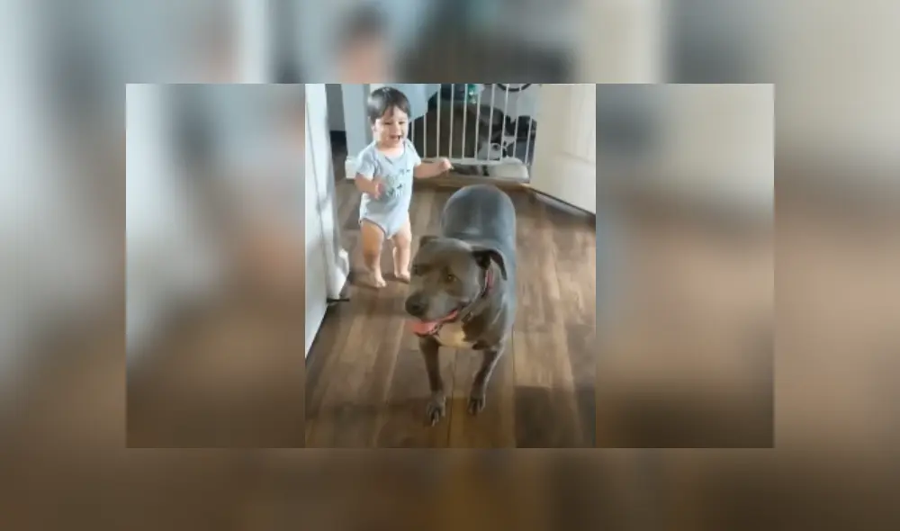 Desliza las imágenes para ver más detalles de esta escena viral de YouTube. Desliza las imágenes para ver más detalles de esta escena viral de YouTube.