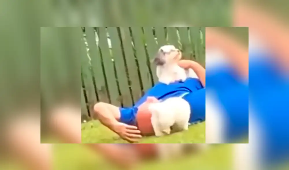 Facebook viral: su padre no quería perros en casa y luego de semanas su hija lo capta en tierna escena Facebook viral: su padre no quería perros en casa y luego de semanas su hija lo capta en tierna escena