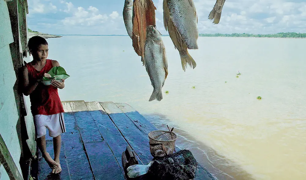 Escena. El niño Juan (Wilson Isminio Cruz) en su casa flotante. Foto: Difusión