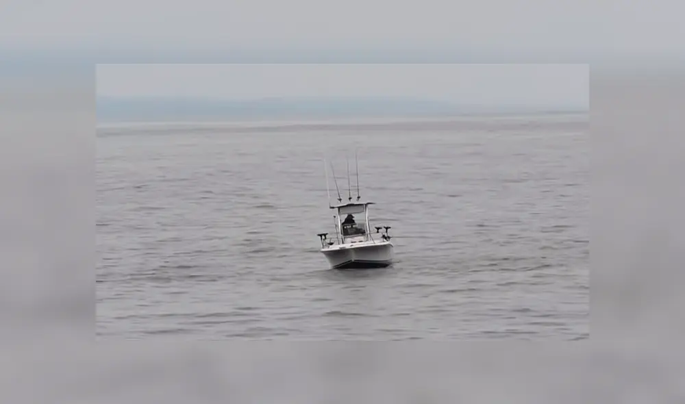 YouTube viral: Pescador queda en shock al ver que enorme criatura surge del océano 