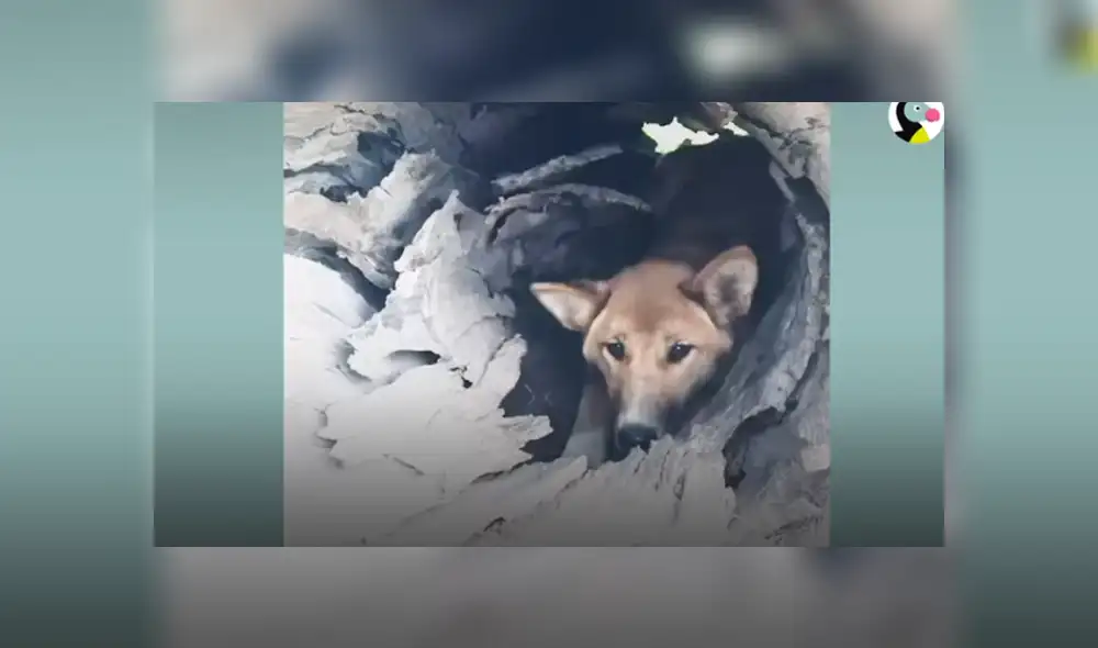 Desliza hacia la izquierda para ver las imágenes del viral de YouTube. Foto: Captura.