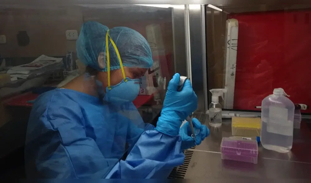 Universidad de Tumbes inicia busqueda de vacuna contra COVID- 19. Universidad de Tumbes inicia busqueda de vacuna contra COVID- 19.