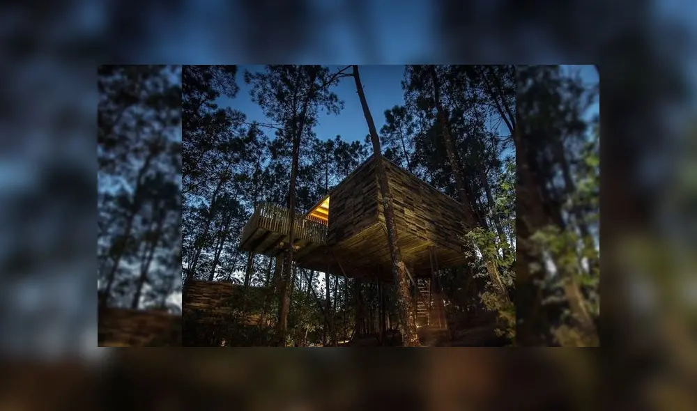 Las Cabañas del Bosque serán el plan perfecto para una noche romántica. (Foto: Bonos Bienestar) Las Cabañas del Bosque serán el plan perfecto para una noche romántica. (Foto: Bonos Bienestar)