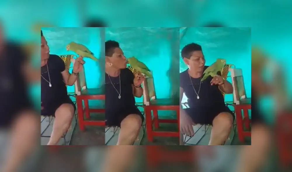 Desliza para ver los detalles del video viral publicado en YouTube. Foto: Captura.