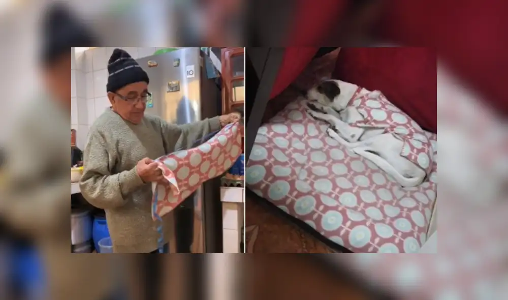 Desliza las imágenes para ver más detalles de esta conmovedora escena. (Foto: captura / TikTok)