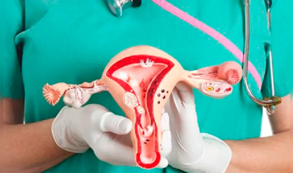 Para que la vacuna sea efectiva es importante recibir las dos dosis. Para que la vacuna sea efectiva es importante recibir las dos dosis.