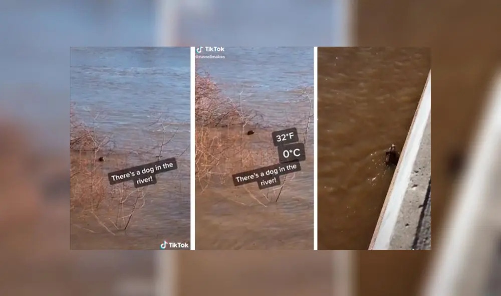 Desliza a la izquierda para ver la valerosa hazaña. Foto: Captura.