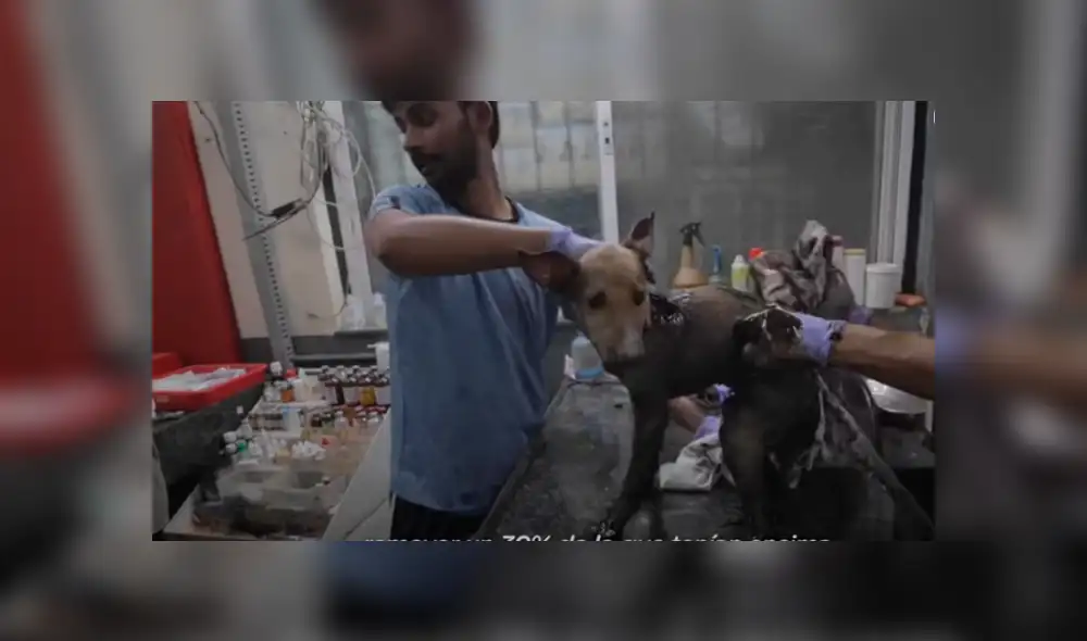 Desliza hacia la izquierda para ver las imágenes del viral de YouTube.