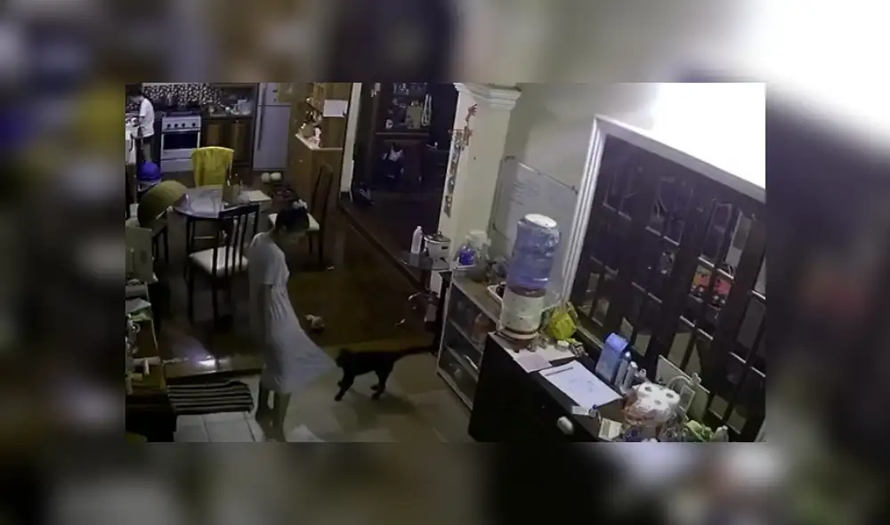 Video es viral en YouTube. Cámara de seguridad captó el gracioso comportamiento que tuvo el can con su dueña para evitar que apague las luces. Fotocaptura: YouTube