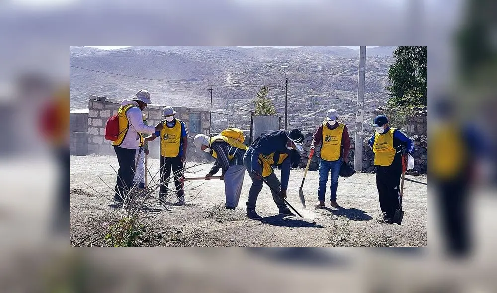 Sentenciados plantan 1000 árboles en zonas alejadas de Arequipa Sentenciados plantan 1000 árboles en zonas alejadas de Arequipa