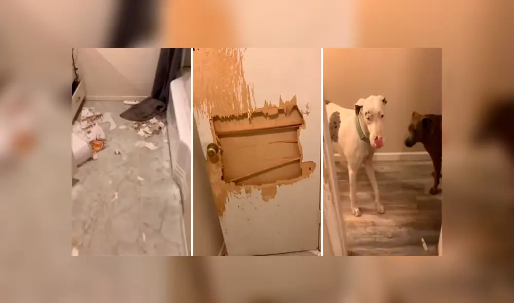 Desliza para ver los momentos más sorprendentes del video que se hizo viral en YouTube. Desliza para ver los momentos más sorprendentes del video que se hizo viral en YouTube.