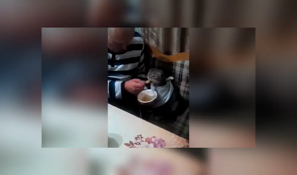 Desliza las imágenes para ver la increíble escena que protagonizó un padre y su gato. Foto: Captgura/Facebook Desliza las imágenes para ver la increíble escena que protagonizó un padre y su gato. Foto: Captgura/Facebook