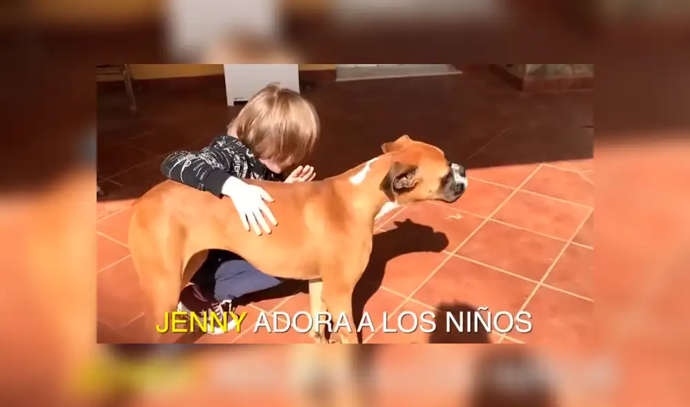 Facebook: perrita desnutrida estuvo a punto de morir hasta que un ‘ángel’ la rescató y ahora luce así [VIDEO]