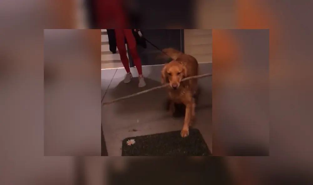 Desliza para ver todas las imágenes de Facebook. Foto: captura