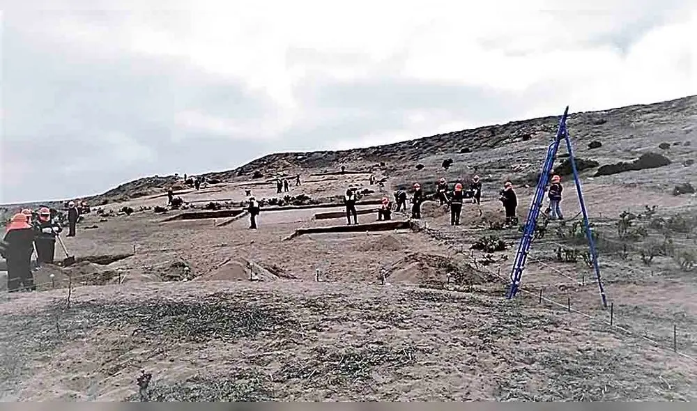 Trabajos. 150 obreros rescatan vestigios en Lomas de Ilo. Trabajos. 150 obreros rescatan vestigios en Lomas de Ilo.