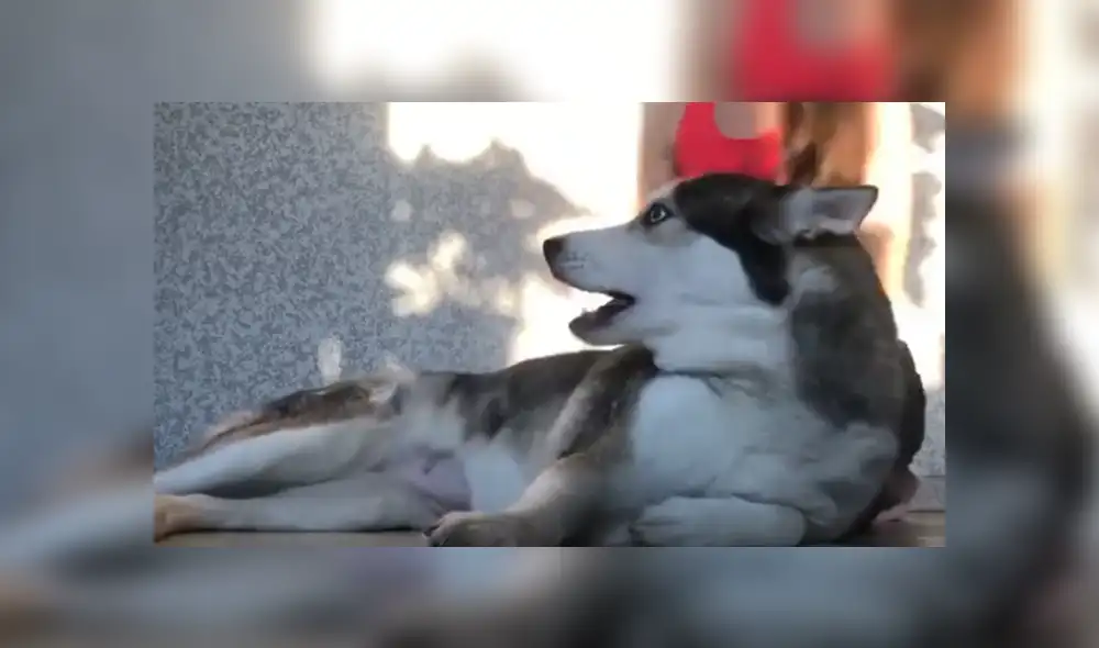 Desliza hacia la izquierda para ver las imágenes del viral de Facebook. Desliza hacia la izquierda para ver las imágenes del viral de Facebook.