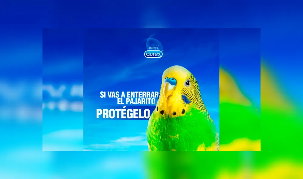 Vía Facebook: divierte con la mejor selección de memes de 'Adiós Chimuelo', el video del momento [FOTOS]