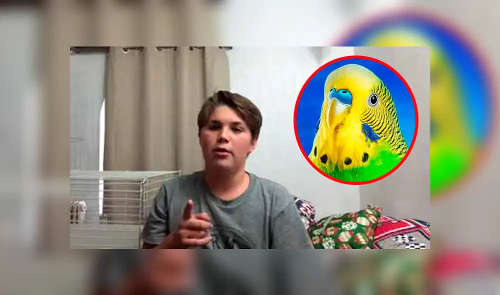 Vía YouTube: dueño de 'Chimuelo' lanza su propio canal y se convierte en youtuber [VIDEO] 