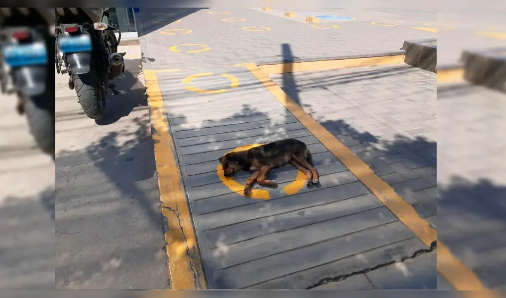 Coronavirus Coronavirus