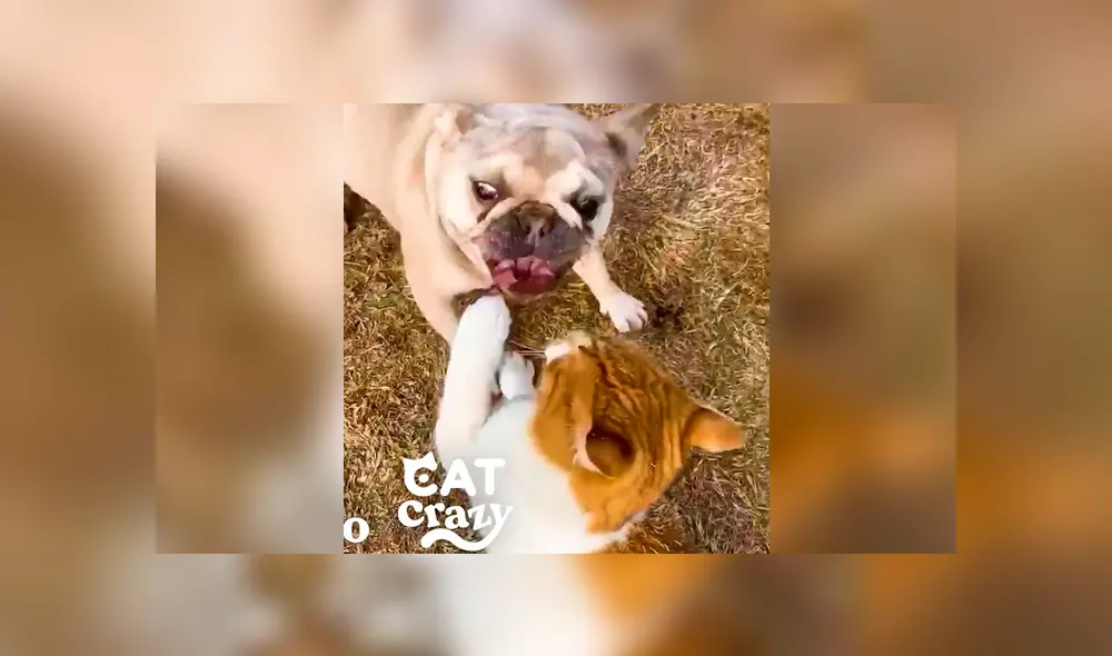 Desliza hacia la izquierda para ver el conmovedor momento que se volvió viral en Facebook.