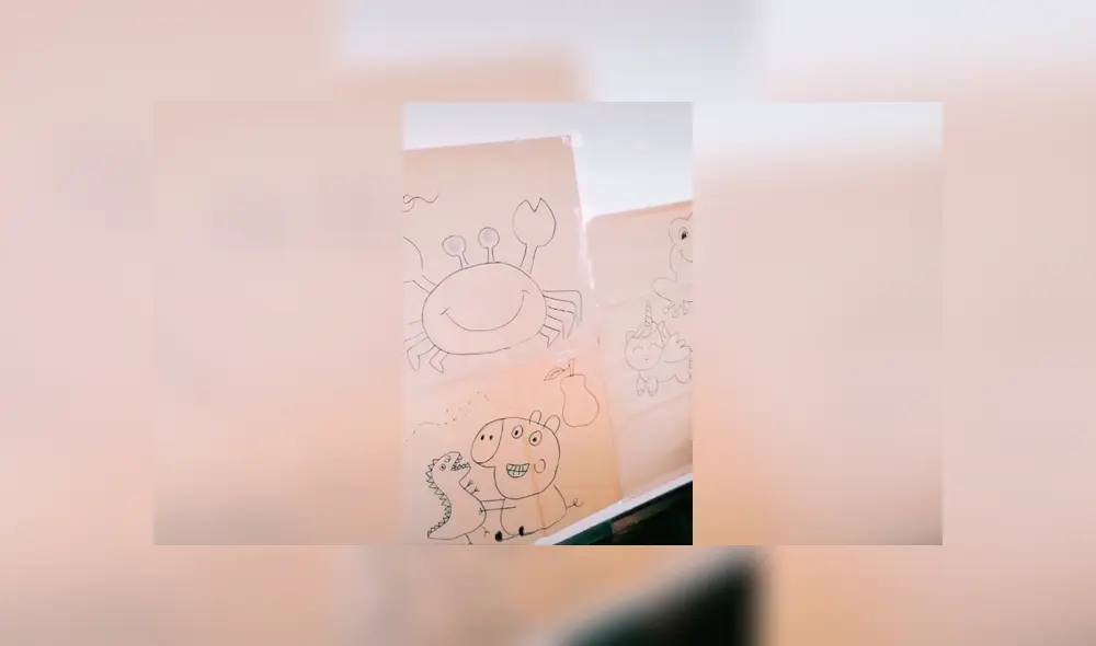 Desliza las imágenes hacia la izquierda para conocer el ingenioso plan de una madre peruana en plena cuarentena.