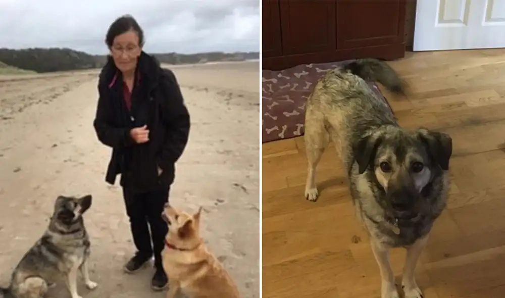 Desliza las imágenes para conocer más detalles sobre esta conmovedora historia. Foto: Facebook