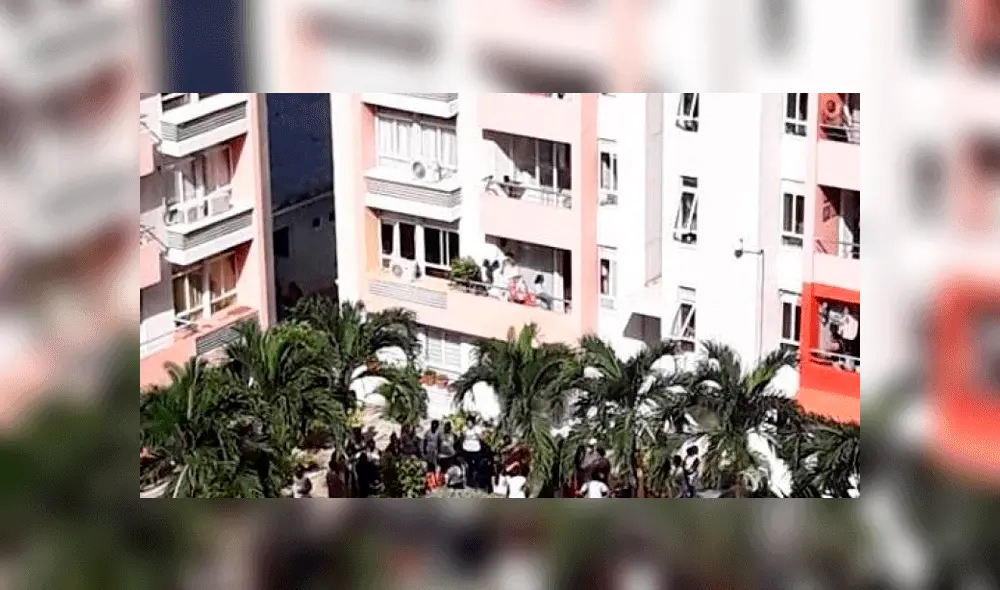 Perro muere tras ser lanzado desde un piso 19 por su dueño Perro muere tras ser lanzado desde un piso 19 por su dueño