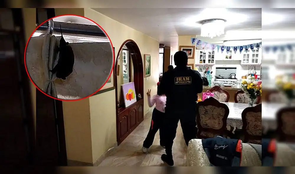 Facebook: murciélagos causan pánico al irrumpir en vivienda de familia trujillana 