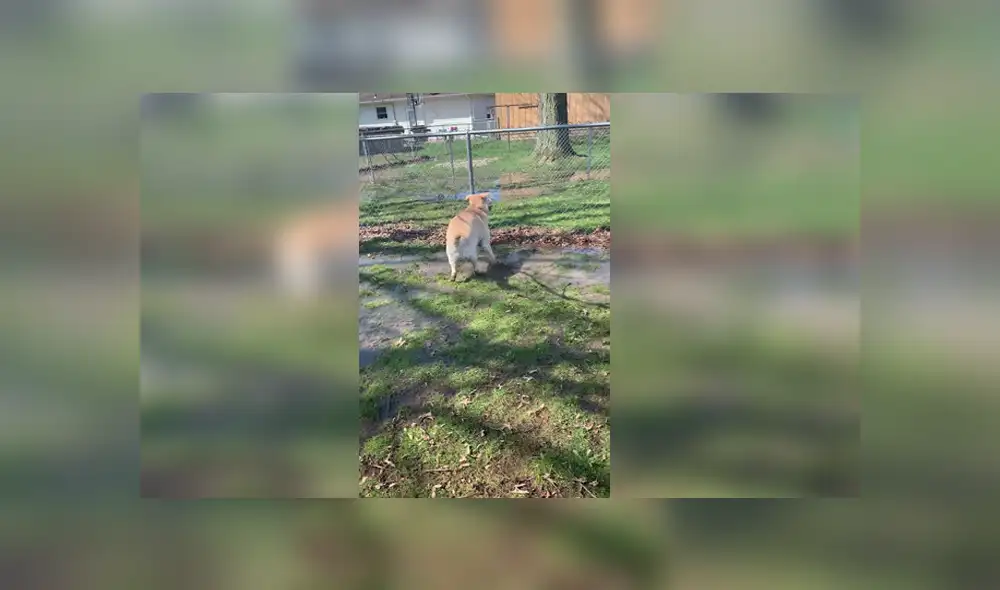 Desliza para ver los detalles del video viral publicado en YouTube. Foto: Captura. Desliza para ver los detalles del video viral publicado en YouTube. Foto: Captura.