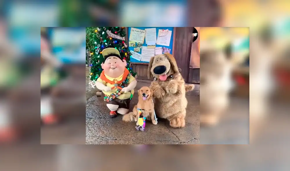 En Facebook, un perro acudió con su dueña a un parque de diversiones en Disney y tuvo una linda sorpresa. En Facebook, un perro acudió con su dueña a un parque de diversiones en Disney y tuvo una linda sorpresa.