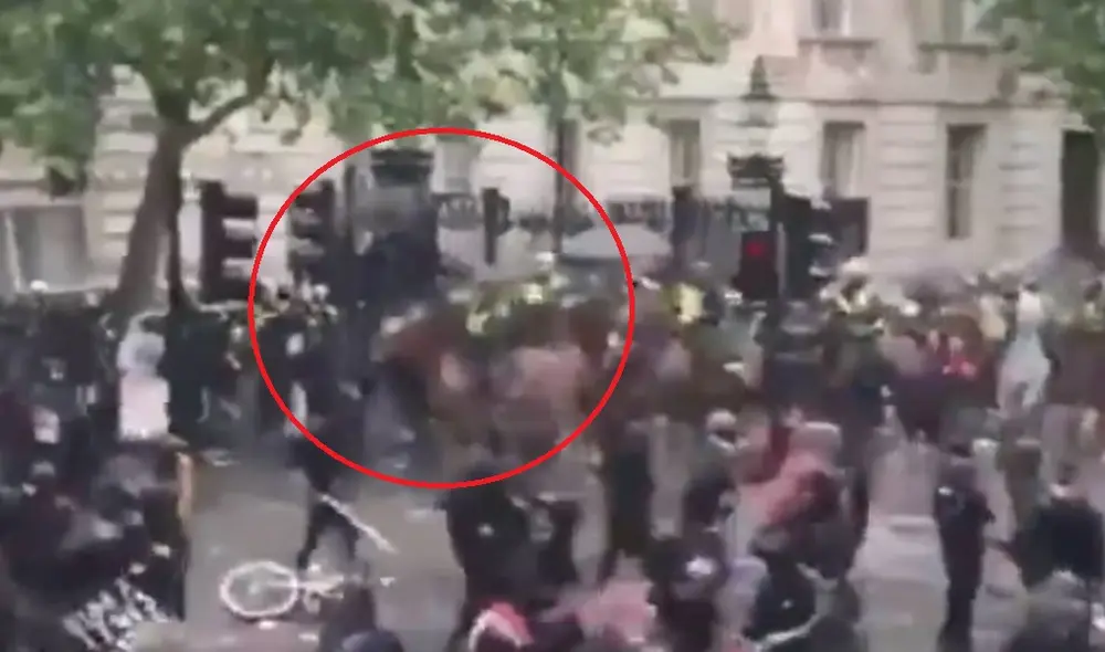 El animal siguió corriendo y desapareció entre la multitud, mientras que el policía permanecía en el suelo. Foto: Twitter El animal siguió corriendo y desapareció entre la multitud, mientras que el policía permanecía en el suelo. Foto: Twitter