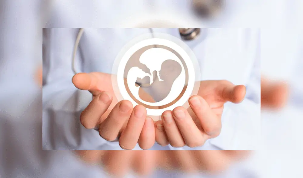 Embarazo y fertilidad: ¿Cuáles son las dudas más frecuentes en las parejas? Foto: Difusión