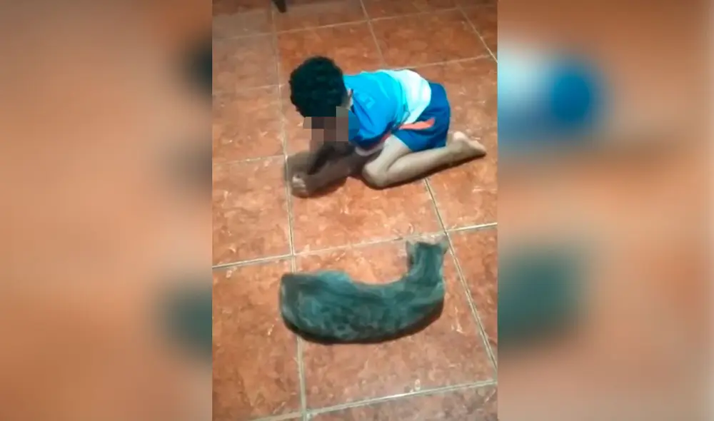 Desliza las imágenes para apreciar el amoroso momento entre un niño y su gato tras quedarse solos en casa. Foto: captura de Facebook