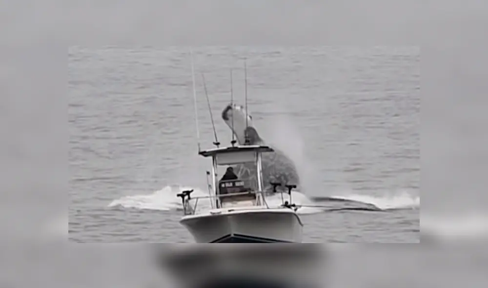 YouTube viral: Pescador queda en shock al ver que enorme criatura surge del océano 