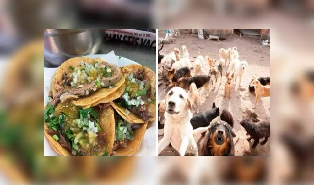 Facebook viral: Huawei P30 Pro y su potente zoom generan memes y estos son los mejores [FOTOS]