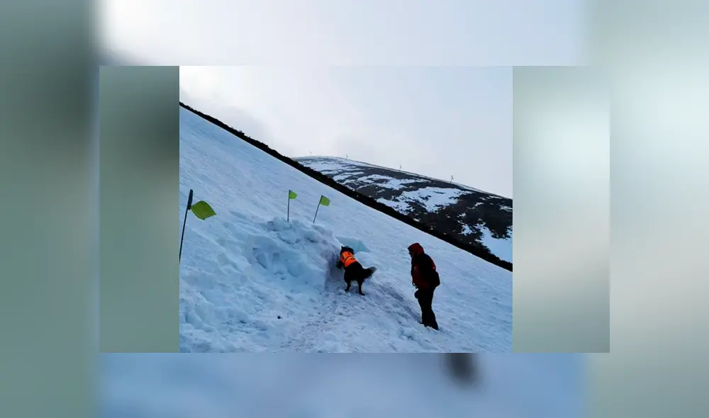 Video es viral en YouTube. El hombre sacó su celular para grabar su despedida, pero de pronto notó que alguien removía la nieve con sus ‘patitas’ y se acercaba a lamerle la cara para mantenerlo caliente. Foto: Captura.