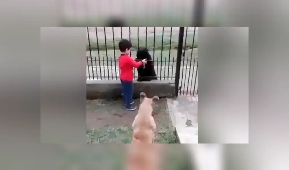 Desliza para ver los momentos más emotivos del video que se hizo viral en Facebook. Desliza para ver los momentos más emotivos del video que se hizo viral en Facebook.