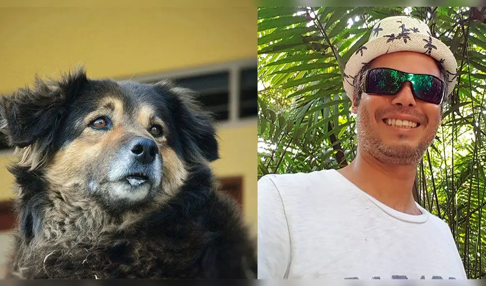 Pancho Cavero reveló que está al cuidado de 'Perrovaca' [FOTOS] 