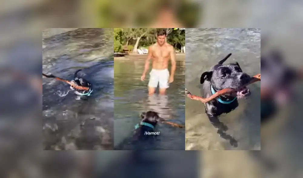 Desliza las imágenes para ver más sobre la curiosa reacción de este perro al estar en la playa. (Foto: captura)