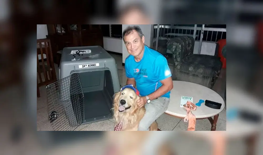 ‘Hachi’, el golden retriever que murió en un vuelo y aerolínea no permitió que familiares lo vieran [VIDEO]