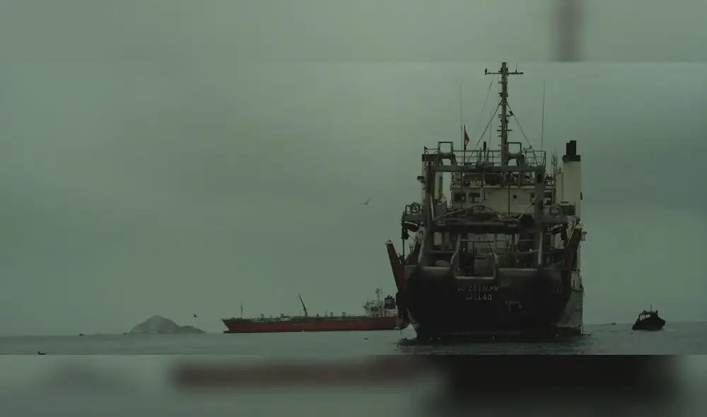 Película Todos somos marineros Película Todos somos marineros